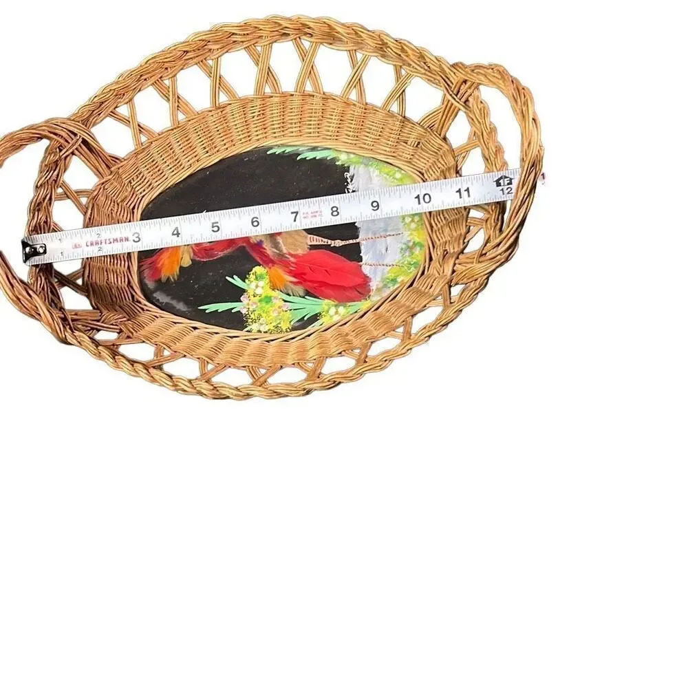Vintage Mexico Bird Feather Folk Art Painted Wicker Basket Wall Decor 12